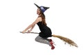 Wicked Witch Royalty Free Stock Photo