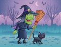 Wicked Witch With Broom And Black Cat and Bats
