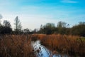 Wicken Fen in Cambridgeshire Royalty Free Stock Photo