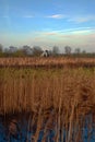 Wicken Fen in Cambridgeshire Royalty Free Stock Photo