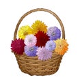 Wicker basket with asters and chrysanthemums. Gift bouquet for the design of cards, invitations, gratitude. Hand drawn and