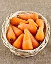 Wicker basket of baby carrots Royalty Free Stock Photo