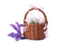 Wicker basket with beautifully painted Easter eggs and iris flowers isolated on white Royalty Free Stock Photo