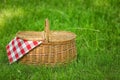 Wicker basket with blanket on green grass in park. Summer picnic Royalty Free Stock Photo