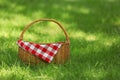 Wicker basket with blanket on green grass in park. Summer picnic Royalty Free Stock Photo