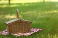 Wicker basket with blanket on green grass in park. Summer picnic Royalty Free Stock Photo