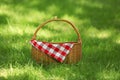 Wicker basket with blanket on green grass in park Royalty Free Stock Photo