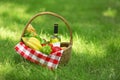 Wicker basket with blanket, wine and food on green grass in park, space for text. Royalty Free Stock Photo