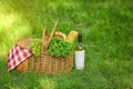 Wicker basket with blanket, wine and food on green grass in park. Summer picnic Royalty Free Stock Photo