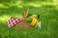 Wicker basket with blanket, wine and food on green grass in park. Royalty Free Stock Photo