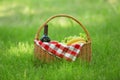 Wicker basket with blanket, wine and food on green grass in park Royalty Free Stock Photo