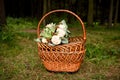 Wicker basket with bouquet of flowers stands in forest clearing