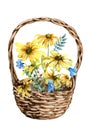 Wicker basket with a bouquet of flowers. Yellow daisies and blue wildflowers. flower composition. Hand-drawn watercolor illustrati