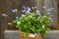 Wicker Basket With A Bouquet Of Forget-me-nots On A Wooden Background