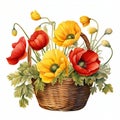 Wicker basket with a bouquet of summer wild flowers poppy. Blooming flowers red poppies, pansies, herbs in a meadow Royalty Free Stock Photo