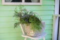 Wicker Basket With Bouquet Wild Summer Flowers On Wooden Chair Near Wall. Decoration In Patio Home. Decor Terrace With Chair And B