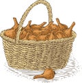 Wicker Basket with Bulb Onion