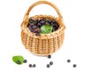Wicker basket with chokeberries isolated on white background Royalty Free Stock Photo