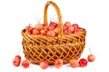 Wicker basket with crab apples Royalty Free Stock Photo