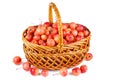 Wicker basket with crab apples Royalty Free Stock Photo