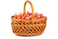 Wicker basket with crab apples Royalty Free Stock Photo