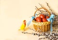 Wicker basket decorated with blue ribbons with Easter brown eggs, willow twigs and a lovebird parrot in bright festive yellow and