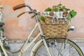 Wicker basket with a decoration bouquet of plant on a vintage bi