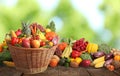 Wicker basket with different fresh organic vegetables and fruits on wooden table against blurred green background Royalty Free Stock Photo