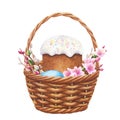 Wicker basket with Easter cake, eggs, branches and flowers. Hand drawn watercolor illustration. For design, cards Royalty Free Stock Photo