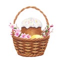 Wicker basket with Easter cake, eggs, branches and flowers on a white background. Hand drawn watercolor illustration. Royalty Free Stock Photo