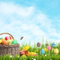 Wicker basket with Easter eggs, cake pops and flowers in green grass against background, space for text Royalty Free Stock Photo