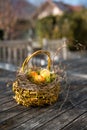 Wicker basket with easter eggs in a straw nest Royalty Free Stock Photo