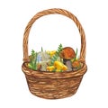 Wicker basket with edible mushrooms, grass, leaves. Autumn still-life. Composition of forest gifts. Hand-drawn Royalty Free Stock Photo