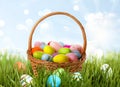 Wicker basket with festively decorated Easter eggs in green grass on sunny day