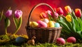 Wicker basket filled with colorful Easter eggs and tulips on mossy ground spring Royalty Free Stock Photo