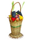 Wicker basket filled with colorful organic vegetables fresh harvest plums, grapes and apples isolated Royalty Free Stock Photo