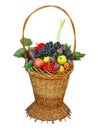 Wicker basket filled with colorful organic vegetables fresh harvest plums, grapes and apples isolated Royalty Free Stock Photo