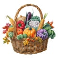A Wicker Basket Filled with Fall Harvest Vegetables Royalty Free Stock Photo