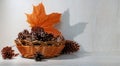 Wicker basket filled with fir cones and autumn maple leaf on a light background. Autumn still life with hard shadows. Free space Royalty Free Stock Photo