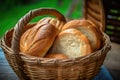 Freshly Baked Bread Loaves in a Wicker Basket Royalty Free Stock Photo