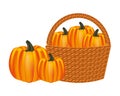 wicker basket filled pumpkin harvesting