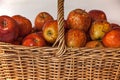 A wicker basket filled with red Starking apples 3