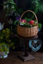 a wicker basket filled with ripe tomatoes. Royalty Free Stock Photo