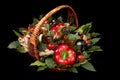 Wicker basket filled with various fresh ripe vegetables on a black background Royalty Free Stock Photo