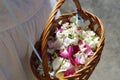 Wicker basket with flower petals in the hands of a girl Royalty Free Stock Photo