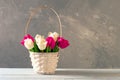 Wicker basket of fresh blooming tulips stands on wooden table. Banner mockup with copyspace for Womans or Mother day, Easter, spri Royalty Free Stock Photo