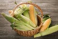 Wicker basket with fresh corn cobs on wooden table Royalty Free Stock Photo