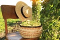 Wicker basket with fresh green beans and hat on wooden chair in garden Royalty Free Stock Photo