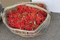 Vintage wicker basket red elderberries, Europe