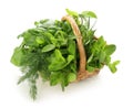 Wicker basket with fresh herbs on white background Royalty Free Stock Photo